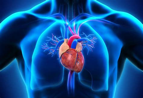 The heart is behind the breastbone and slightly to the left of center, as you can see in the diagram. It is not on the left side, the right side or the middle of your …